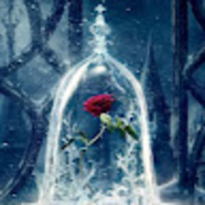 Meet your Posher, Kellie